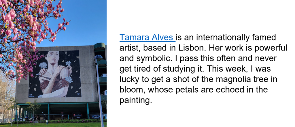Tamara Alves outdoor wall painting, Trindade, Porto, Portugal