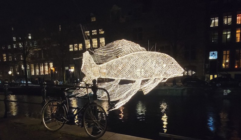 Magical December Lights: Amsterdam, Paris, and&nbsp;Porto